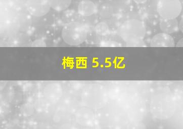 梅西 5.5亿